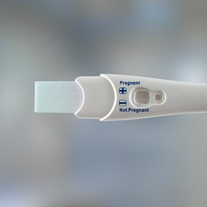 博滤克斯Porex妊娠及排卵测试芯棒