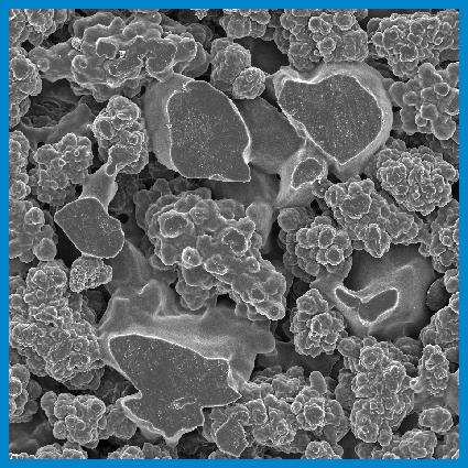 Porous Polymer