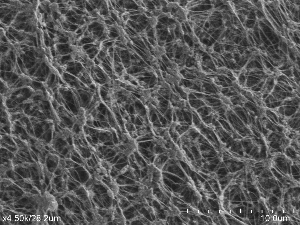 This is a scanning electron microscope image of ePTFE porous membrane. It shows a fibrous structure.