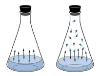 molecules in a beaker