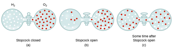 diffusion-process