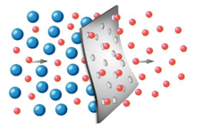 Porous filter illustration shows large blue spheres and small red spheres flowing through demonstrating surface filtration.