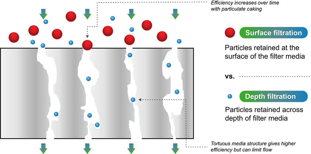 Porous filter used in in surface and depth filtration demonstrating the difference in which the large particles are retained at the top and smaller particles retained across the filter media.