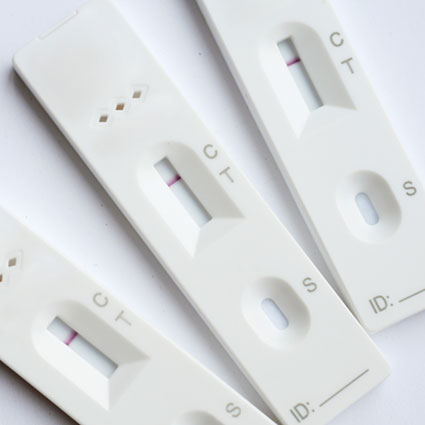 This is an image of a lateral flow assay. It contains an absorbent pad that is used to absorb a sample. 