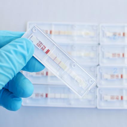 This is an image of a conjugate pad which is part of a lateral flow assay test.